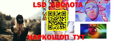 прущие грибы Коммунар