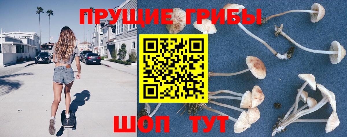 Кострома  Псилоцибиновые грибы GOLDEN TEACHER  Вход с VPN 